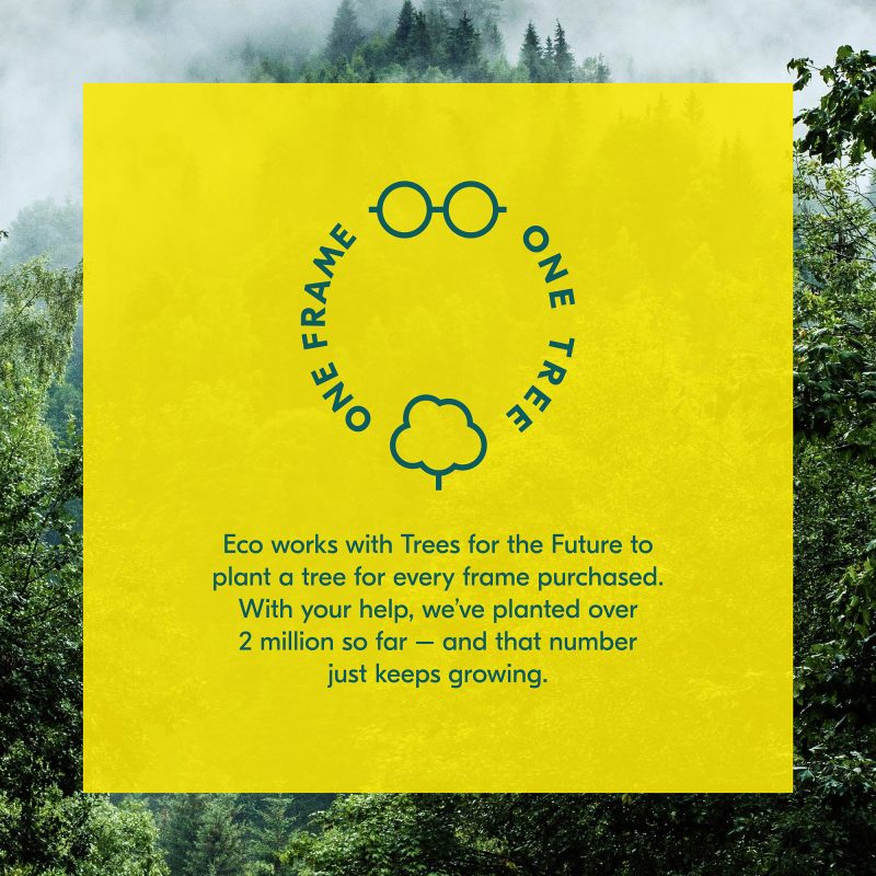 Eco One Frame One Tree